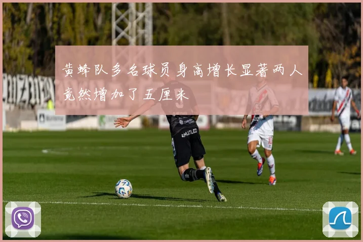 黄蜂队多名球员身高增长显著两人竟然增加了五厘米