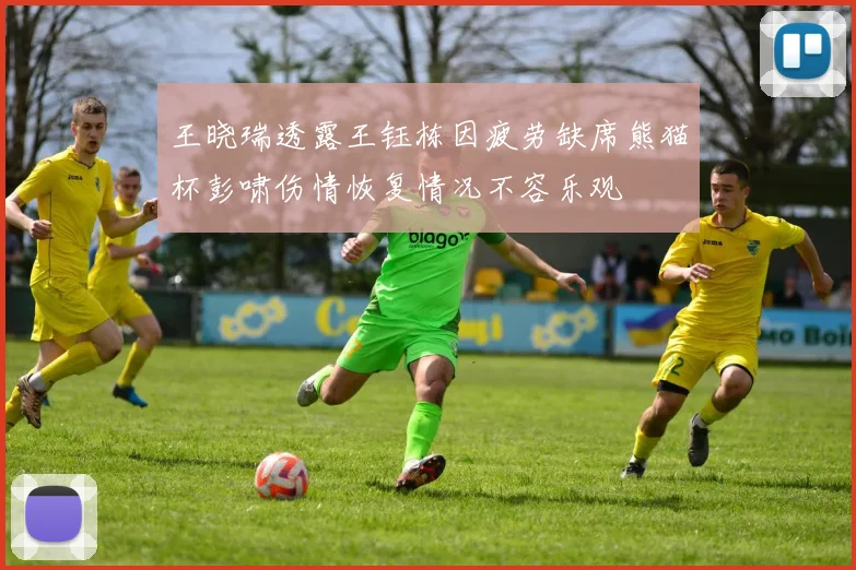 王晓瑞透露王钰栋因疲劳缺席熊猫杯彭啸伤情恢复情况不容乐观